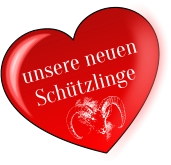 unsere neuen Schützlinge