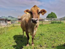 LORENA - Jersey geb. 12.08.2011