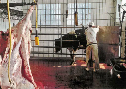 dem Menschen wehrlos ausgeliefert.!