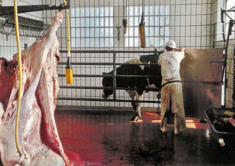 dem Menschen wehrlos ausgeliefert.!