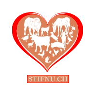 STIFNU.CH STIFNU.CH