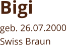 Bigigeb. 26.07.2000 Swiss Braun