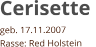 Cerisette geb. 17.11.2007 Rasse: Red Holstein