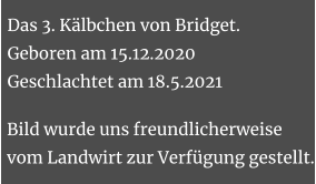 Das 3. Kälbchen von Bridget.Geboren am 15.12.2020Geschlachtet am 18.5.2021 Bild wurde uns freundlicherweise vom Landwirt zur Verfügung gestellt.