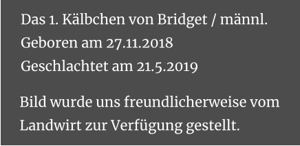 Das 1. Kälbchen von Bridget / männl.Geboren am 27.11.2018Geschlachtet am 21.5.2019 Bild wurde uns freundlicherweise vom Landwirt zur Verfügung gestellt.