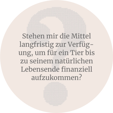 Stehen mir die Mittel langfristig zur Verfüg-ung, um für ein Tier bis zu seinem natürlichen Lebensende finanziell aufzukommen?