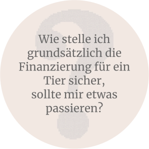 Wie stelle ich grundsätzlich die Finanzierung für ein Tier sicher,  sollte mir etwas passieren?