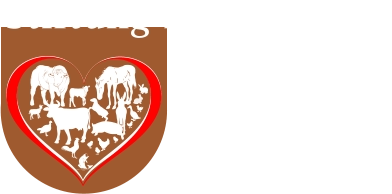 Stiftung für Nutztiere